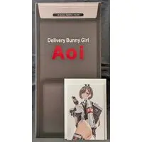 Figure - Bunny Costume Figure