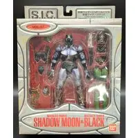 Figure - Kamen Rider Series