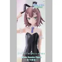 BiCute Bunnies - Baka to Test to Shoukanjuu (Baka & Test - Summon the Beasts) / Kinoshita Hideyoshi