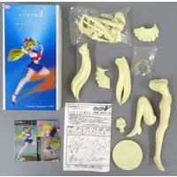 Figure - Garage Kit - Resin Cast Assembly Kit - Bishoujo Senshi Sailor Moon / Sailor Venus