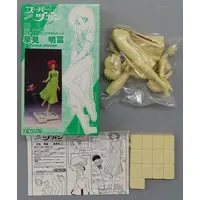 Figure - Garage Kit - ファルシオン(FALCHiON) (早見明菜 あきなIII 大三元 「スーパーヅガン」 1/8 ウレタンフィギュアモデルキット)
