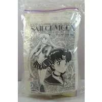 Figure - Garage Kit - Bishoujo Senshi Sailor Moon / Sailor Mercury