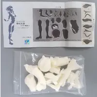 Garage Kit - Alice Gear Aegis