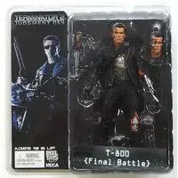 Figure - The Terminator