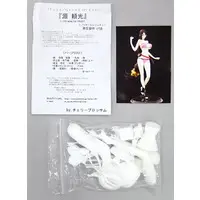 Resin Cast Assembly Kit - Garage Kit - Fate/Grand Order / Minamoto no Raikou (Fate series)