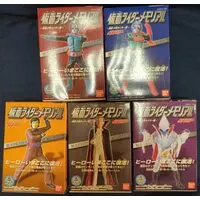 Figure - Kamen Rider Series