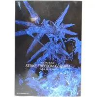 Figure - Mobile Suit Gundam SEED Destiny