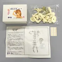Garage Kit - Resin Cast Assembly Kit - Toaru Kagaku no Railgun (A Certain Scientific Railgun) / Misaka Mikoto