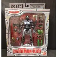 Figure - Kamen Rider Series