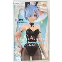 BiCute Bunnies - Re:Zero / Rem