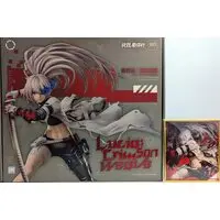 With Bonus - Punishing: Gray Raven
