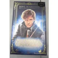 Figure - Fantastic Beasts
