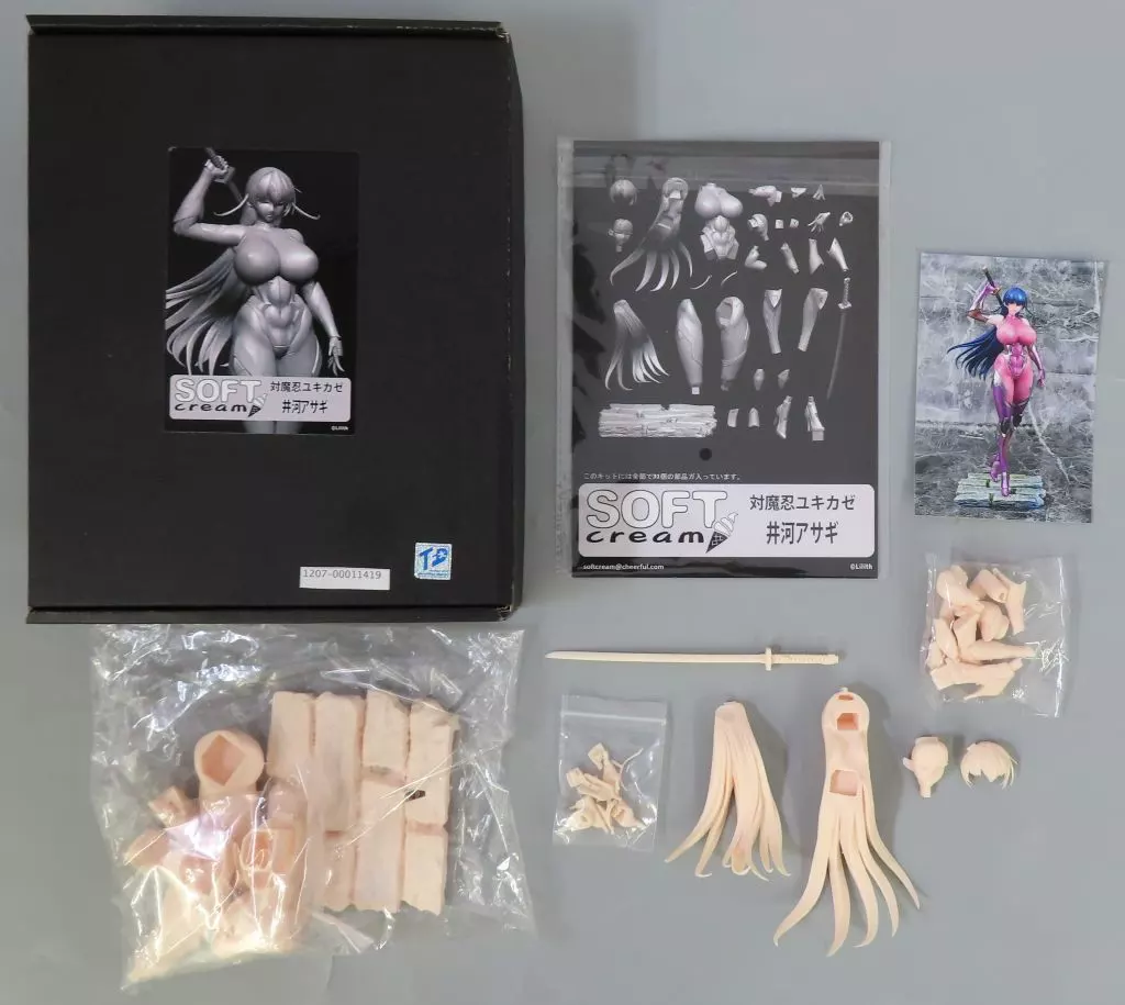 Garage Kit - Taimanin series / Igawa Asagi