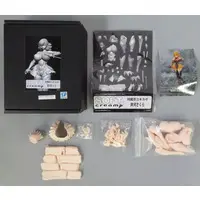 Garage Kit - Taimanin series / Igawa Sakura