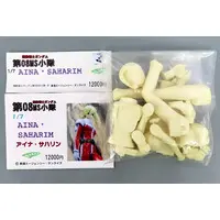 Garage Kit - Mobile Suit Gundam: The 08th MS Team / Aina Sahalin