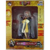 Ichiban Kuji - One Piece