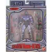 Figure - Kamen Rider Series