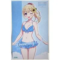 Plastic model - Sousai Shoujo Teien