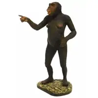 Figure - National Museum of Nature and Science