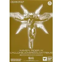 Figure - Kamen Rider Series