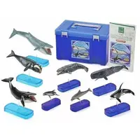 Figure - Real Figure Box