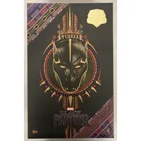 Figure - HOTTOYS (HOTTOYS MOVIE MASTERPIECE T'CHAKA MMS487)