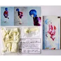 Garage Kit - Resin Cast Assembly Kit - Neon Genesis Evangelion / Ayanami Rei