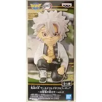 World Collectable Figure - Demon Slayer: Kimetsu no Yaiba / Shinazugawa Sanemi