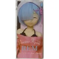 Precious Figure - Re:Zero / Rem