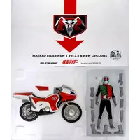 Real Action Heroes - Kamen Rider Series