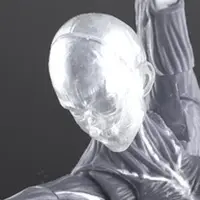 Figure (人体筋肉模型 女性Ver. グレー 1/12)