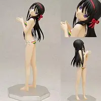 Figure - Puella Magi Madoka Magica / Akemi Homura - Swimsuit