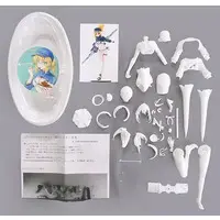 Garage Kit - Fate/Grand Order / Mysterious Heroine X