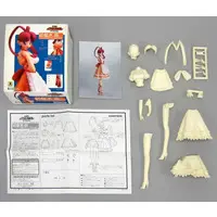 Garage Kit - Resin Cast Assembly Kit - King of Braves GaoGaiGar / Utsugi Mikoto