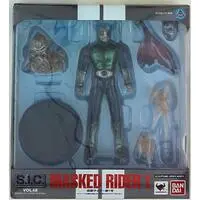 Figure - Kamen Rider Series