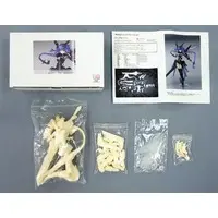 Garage Kit - Choujigen Game Neptune (Hyperdimension Neptunia) / Purple Heart