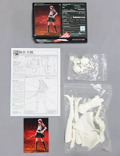 Garage Kit - Resin Cast Assembly Kit - Persona 3 / Kirijou Mitsuru - Santa Costume