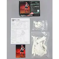 Garage Kit - Resin Cast Assembly Kit - Persona 3 / Kirijou Mitsuru - Santa Costume