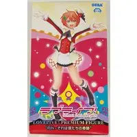 Prize Figure - Love Live! / Hoshizora Rin