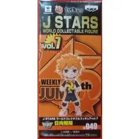 World Collectable Figure - Haikyu!! / Hinata Shoyo