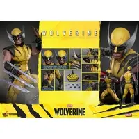 Figure - Wolverine