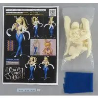 Garage Kit - Resin Cast Assembly Kit - Fate/Grand Order - Swimsuit
