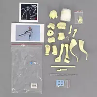 Garage Kit - Fate/Grand Order - Swimsuit