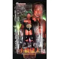Figure - Pro Wrestling Noah