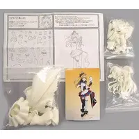 Garage Kit - Love Live! / Minami Kotori