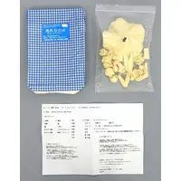 Garage Kit - Resin Cast Assembly Kit - Mahou Shoujo Lyrical Nanoha / Takamachi Nanoha