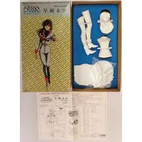 Garage Kit - Macross: Do You Remember Love? / Hayase Misa
