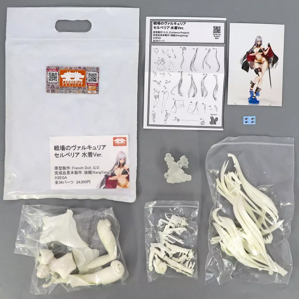 Garage Kit - Senjou no Valkyria (Valkyria Chronicles) / Selvaria Bles - Swimsuit