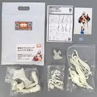 Garage Kit - Senjou no Valkyria (Valkyria Chronicles) / Selvaria Bles - Swimsuit
