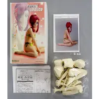 Garage Kit - Resin Cast Assembly Kit - Onegai☆Teacher (Please Teacher!) / Kazami Mizuho - Swimsuit